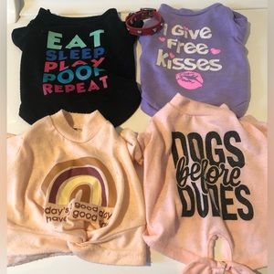 Small pet shirts and leather collar